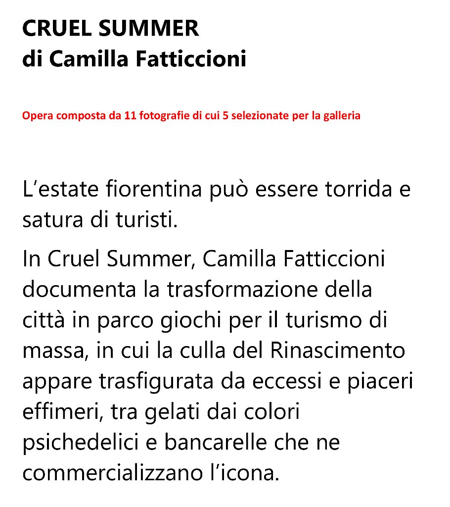 e_fatticcioni_camilla.jpg