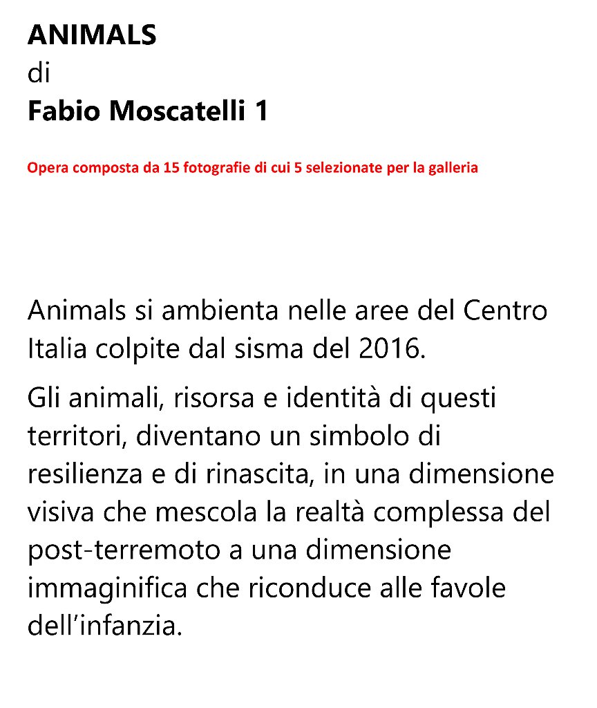 h_moscatelli_fabio.jpg